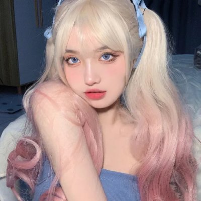 木材宝藏狗